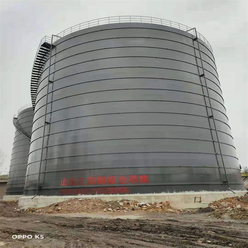 蒋湖农场3万吨大型钢板库