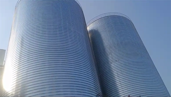 蒋湖农场2座混凝土高架卷板仓