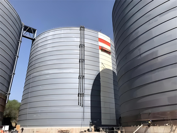 蒋湖农场焦粉仓